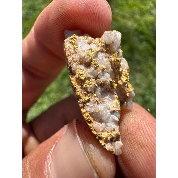 VERY RICH Gold in Quartz Specimen- California - 10.8 grams - Picture 9 of 12